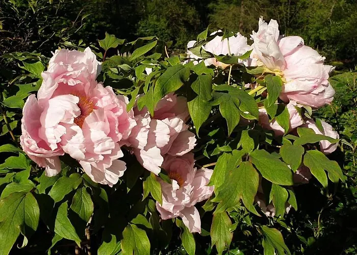Moulin De Ladausse Alojamento de Acomodação e Pequeno-almoço 4*