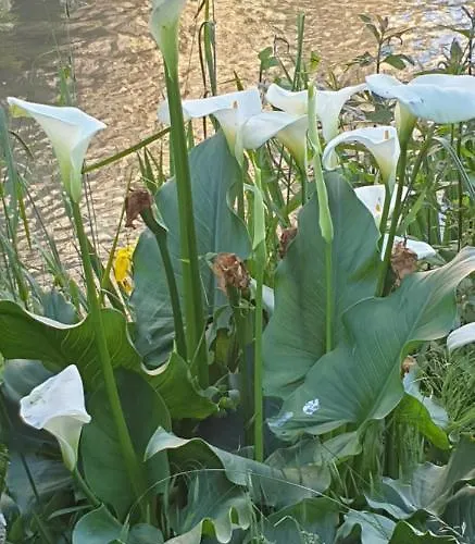 Moulin De Ladausse 4*